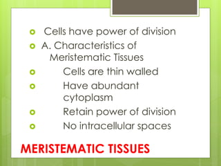 MERISTEMATIC TISSUES
 Cells have power of division
 A. Characteristics of
Meristematic Tissues
 Cells are thin walled
 Have abundant
cytoplasm
 Retain power of division
 No intracellular spaces
 