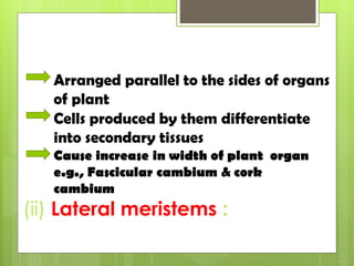(ii) Lateral meristems :
Arranged parallel to the sides of organs
of plant
Cells produced by them differentiate
into secondary tissues
Cause increase in width of plant organ
e.g., Fascicular cambium & cork
cambium
 