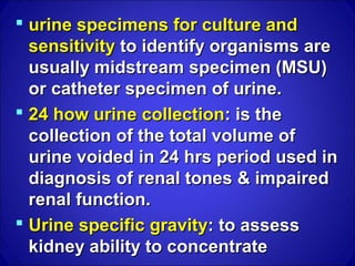 Anatomy urinary tract proplems&stons | PPT