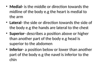 • Medial- is the middle or direction towards the
midline of the body e.g the heart is medial to
the arm
• Lateral- the side or direction towards the side of
the body e.g the hands are lateral to the chest
• Superior- describes a position above or higher
than another part of the body e.g head is
superior to the abdomen
• Inferior- a position below or lower than another
part of the body e.g the navel is inferior to the
chin
 