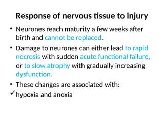 Response of nervous tissue to injury
• Neurones reach maturity a few weeks after
birth and cannot be replaced.
• Damage to neurones can either lead to rapid
necrosis with sudden acute functional failure,
or to slow atrophy with gradually increasing
dysfunction.
• These changes are associated with:
hypoxia and anoxia
 