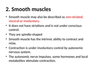 2. Smooth muscles
• Smooth muscle may also be described as non-striated,
visceral or involuntary.
• It does not have striations and is not under conscious
control.
• They are spindle-shaped
• Smooth muscle has the intrinsic ability to contract and
relax.
• Contraction is under involuntary control by autonomic
nervous system.
• The autonomic nerve impulses, some hormones and local
metabolites stimulate contraction.
 
