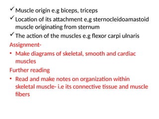 Muscle origin e.g biceps, triceps
Location of its attachment e,g sternocleidoamastoid
muscle originating from sternum
The action of the muscles e.g flexor carpi ulnaris
Assignment-
• Make diagrams of skeletal, smooth and cardiac
muscles
Further reading
• Read and make notes on organization within
skeletal muscle- i.e its connective tissue and muscle
fibers
 