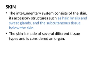 SKIN
• The integumentary system consists of the skin,
its accessory structures such as hair, knails and
sweat glands, and the subcutaneous tissue
below the skin.
• The skin is made of several different tissue
types and is considered an organ.
 