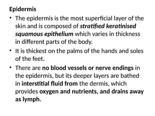 Epidermis
• The epidermis is the most superficial layer of the
skin and is composed of stratified keratinised
squamous epithelium which varies in thickness
in different parts of the body.
• It is thickest on the palms of the hands and soles
of the feet.
• There are no blood vessels or nerve endings in
the epidermis, but its deeper layers are bathed
in interstitial fluid from the dermis, which
provides oxygen and nutrients, and drains away
as lymph.
 