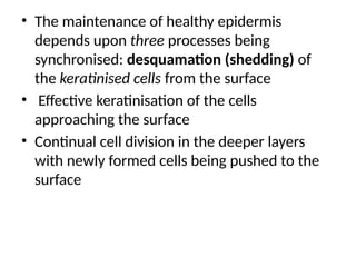 • The maintenance of healthy epidermis
depends upon three processes being
synchronised: desquamation (shedding) of
the keratinised cells from the surface
• Effective keratinisation of the cells
approaching the surface
• Continual cell division in the deeper layers
with newly formed cells being pushed to the
surface
 