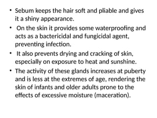 • Sebum keeps the hair soft and pliable and gives
it a shiny appearance.
• On the skin it provides some waterproofing and
acts as a bactericidal and fungicidal agent,
preventing infection.
• It also prevents drying and cracking of skin,
especially on exposure to heat and sunshine.
• The activity of these glands increases at puberty
and is less at the extremes of age, rendering the
skin of infants and older adults prone to the
effects of excessive moisture (maceration).
 
