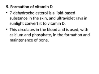 5. Formation of vitamin D
• 7-dehydrocholesterol is a lipid-based
substance in the skin, and ultraviolet rays in
sunlight convert it to vitamin D.
• This circulates in the blood and is used, with
calcium and phosphate, in the formation and
maintenance of bone.
 
