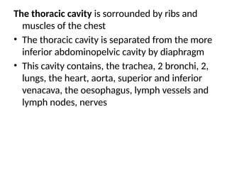 The thoracic cavity is sorrounded by ribs and
muscles of the chest
• The thoracic cavity is separated from the more
inferior abdominopelvic cavity by diaphragm
• This cavity contains, the trachea, 2 bronchi, 2,
lungs, the heart, aorta, superior and inferior
venacava, the oesophagus, lymph vessels and
lymph nodes, nerves
 