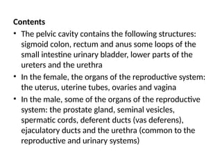 Contents
• The pelvic cavity contains the following structures:
sigmoid colon, rectum and anus some loops of the
small intestine urinary bladder, lower parts of the
ureters and the urethra
• In the female, the organs of the reproductive system:
the uterus, uterine tubes, ovaries and vagina
• In the male, some of the organs of the reproductive
system: the prostate gland, seminal vesicles,
spermatic cords, deferent ducts (vas deferens),
ejaculatory ducts and the urethra (common to the
reproductive and urinary systems)
 