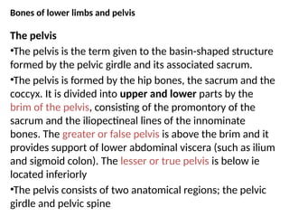 Bones of lower limbs and pelvis
The pelvis
•The pelvis is the term given to the basin-shaped structure
formed by the pelvic girdle and its associated sacrum.
•The pelvis is formed by the hip bones, the sacrum and the
coccyx. It is divided into upper and lower parts by the
brim of the pelvis, consisting of the promontory of the
sacrum and the iliopectineal lines of the innominate
bones. The greater or false pelvis is above the brim and it
provides support of lower abdominal viscera (such as ilium
and sigmoid colon). The lesser or true pelvis is below ie
located inferiorly
•The pelvis consists of two anatomical regions; the pelvic
girdle and pelvic spine
 