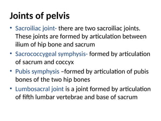 Joints of pelvis
• Sacroiliac joint- there are two sacroiliac joints.
These joints are formed by articulation between
ilium of hip bone and sacrum
• Sacrococcygeal symphysis- formed by articulation
of sacrum and coccyx
• Pubis symphysis –formed by articulation of pubis
bones of the two hip bones
• Lumbosacral joint is a joint formed by articulation
of fifth lumbar vertebrae and base of sacrum
 