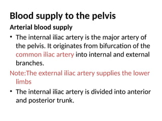 Blood supply to the pelvis
Arterial blood supply
• The internal iliac artery is the major artery of
the pelvis. It originates from bifurcation of the
common iliac artery into internal and external
branches.
Note:The external iliac artery supplies the lower
limbs
• The internal iliac artery is divided into anterior
and posterior trunk.
 