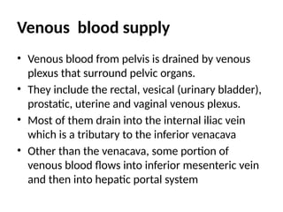 Venous blood supply
• Venous blood from pelvis is drained by venous
plexus that surround pelvic organs.
• They include the rectal, vesical (urinary bladder),
prostatic, uterine and vaginal venous plexus.
• Most of them drain into the internal iliac vein
which is a tributary to the inferior venacava
• Other than the venacava, some portion of
venous blood flows into inferior mesenteric vein
and then into hepatic portal system
 