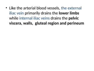 • Like the arterial blood vessels, the external
iliac vein primarily drains the lower limbs
while internal iliac veins drains the pelvic
viscera, walls, gluteal region and perineum
 