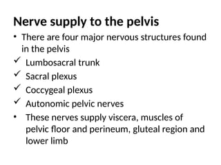 Nerve supply to the pelvis
• There are four major nervous structures found
in the pelvis
 Lumbosacral trunk
 Sacral plexus
 Coccygeal plexus
 Autonomic pelvic nerves
• These nerves supply viscera, muscles of
pelvic floor and perineum, gluteal region and
lower limb
 