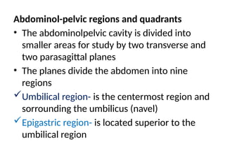 Abdominol-pelvic regions and quadrants
• The abdominolpelvic cavity is divided into
smaller areas for study by two transverse and
two parasagittal planes
• The planes divide the abdomen into nine
regions
Umbilical region- is the centermost region and
sorrounding the umbilicus (navel)
Epigastric region- is located superior to the
umbilical region
 