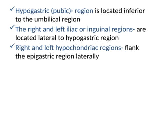 Hypogastric (pubic)- region is located inferior
to the umbilical region
The right and left iliac or inguinal regions- are
located lateral to hypogastric region
Right and left hypochondriac regions- flank
the epigastric region laterally
 