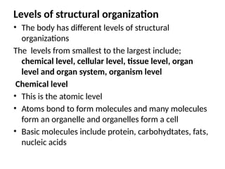 Levels of structural organization
• The body has different levels of structural
organizations
The levels from smallest to the largest include;
chemical level, cellular level, tissue level, organ
level and organ system, organism level
Chemical level
• This is the atomic level
• Atoms bond to form molecules and many molecules
form an organelle and organelles form a cell
• Basic molecules include protein, carbohydtates, fats,
nucleic acids
 