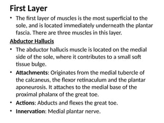 First Layer
• The first layer of muscles is the most superficial to the
sole, and is located immediately underneath the plantar
fascia. There are three muscles in this layer.
Abductor Hallucis
• The abductor hallucis muscle is located on the medial
side of the sole, where it contributes to a small soft
tissue bulge.
• Attachments: Originates from the medial tubercle of
the calcaneus, the flexor retinaculum and the plantar
aponeurosis. It attaches to the medial base of the
proximal phalanx of the great toe.
• Actions: Abducts and flexes the great toe.
• Innervation: Medial plantar nerve.
 