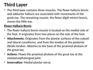 Third Layer
• The third layer contains three muscles. The flexor hallucis brevis
and adductor hallucis are associated with movements of the
great toe. The remaining muscle, the flexor digiti minimi brevis,
moves the little toe.
Flexor Hallucis Brevis
• The flexor hallucis brevis muscle is located on the medial side of
the foot. It originates from two places on the sole of the foot.
• Attachments: Originates from the plantar surfaces of the cuboid
and lateral cuneiforms, and from the tendon of the posterior
tibialis tendon. Attaches to the base of the proximal phalanx of
the great toe.
• Actions: Flexes the proximal phalanx of the great toe at the
metatarsophalangeal joint.
• Innervation: Medial plantar nerve.
 