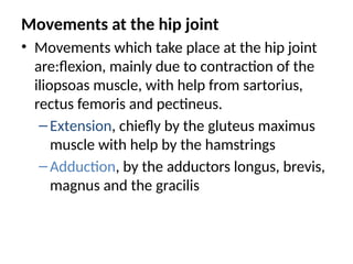Movements at the hip joint
• Movements which take place at the hip joint
are:flexion, mainly due to contraction of the
iliopsoas muscle, with help from sartorius,
rectus femoris and pectineus.
–Extension, chiefly by the gluteus maximus
muscle with help by the hamstrings
–Adduction, by the adductors longus, brevis,
magnus and the gracilis
 