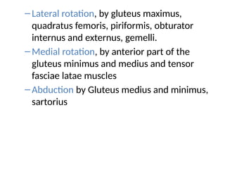 –Lateral rotation, by gluteus maximus,
quadratus femoris, piriformis, obturator
internus and externus, gemelli.
–Medial rotation, by anterior part of the
gluteus minimus and medius and tensor
fasciae latae muscles
–Abduction by Gluteus medius and minimus,
sartorius
 