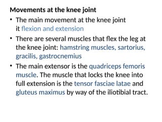 Movements at the knee joint
• The main movement at the knee joint
it flexion and extension
• There are several muscles that flex the leg at
the knee joint: hamstring muscles, sartorius,
gracilis, gastrocnemius
• The main extensor is the quadriceps femoris
muscle. The muscle that locks the knee into
full extension is the tensor fasciae latae and
gluteus maximus by way of the iliotibial tract.
 