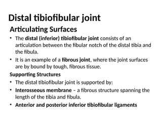 Distal tibiofibular joint
Articulating Surfaces
• The distal (inferior) tibiofibular joint consists of an
articulation between the fibular notch of the distal tibia and
the fibula.
• It is an example of a fibrous joint, where the joint surfaces
are by bound by tough, fibrous tissue.
Supporting Structures
• The distal tibiofibular joint is supported by:
• Interosseous membrane – a fibrous structure spanning the
length of the tibia and fibula.
• Anterior and posterior inferior tibiofibular ligaments
 