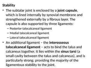 Stability
• The subtalar joint is enclosed by a joint capsule,
which is lined internally by synovial membrane and
strengthened externally by a fibrous layer. The
capsule is also supported by three ligaments:
– Posterior talocalcaneal ligament
– Medial talocalcaneal ligament
– Lateral talocalcaneal ligament
• An additional ligament – the interosseous
talocalcaneal ligament – acts to bind the talus and
calcaneus together. It lies within the sinus tarsi (a
small cavity between the talus and calcaneus), and is
particularly strong; providing the majority of the
ligamentous stability to the joint.
 