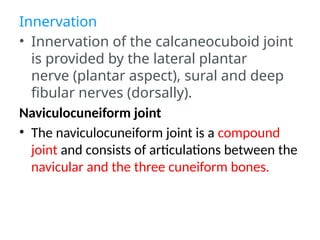 Innervation
• Innervation of the calcaneocuboid joint
is provided by the lateral plantar
nerve (plantar aspect), sural and deep
fibular nerves (dorsally).
Naviculocuneiform joint
• The naviculocuneiform joint is a compound
joint and consists of articulations between the
navicular and the three cuneiform bones.
 