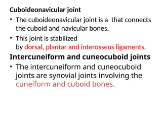 Cuboideonavicular joint
• The cuboideonavicular joint is a that connects
the cuboid and navicular bones.
• This joint is stabilized
by dorsal, plantar and interosseus ligaments.
Intercuneiform and cuneocuboid joints
• The intercuneiform and cuneocuboid
joints are synovial joints involving the
cuneiform and cuboid bones.
 