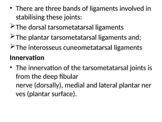 • There are three bands of ligaments involved in
stabilising these joints:
The dorsal tarsometatarsal ligaments
The plantar tarsometatarsal ligaments and;
The interosseus cuneometatarsal ligaments
Innervation
• The innervation of the tarsometatarsal joints is
from the deep fibular
nerve (dorsally), medial and lateral plantar ner
ves (plantar surface).
 