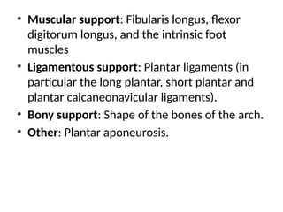 • Muscular support: Fibularis longus, flexor
digitorum longus, and the intrinsic foot
muscles
• Ligamentous support: Plantar ligaments (in
particular the long plantar, short plantar and
plantar calcaneonavicular ligaments).
• Bony support: Shape of the bones of the arch.
• Other: Plantar aponeurosis.
 