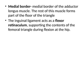 • Medial border- medial border of the adductor
longus muscle. The rest of this muscle forms
part of the floor of the triangle
• The inguinal ligament acts as a flexor
retinaculum, supporting the contents of the
femoral triangle during flexion at the hip.
 