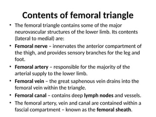 Contents of femoral triangle
• The femoral triangle contains some of the major
neurovascular structures of the lower limb. Its contents
(lateral to medial) are:
• Femoral nerve – innervates the anterior compartment of
the thigh, and provides sensory branches for the leg and
foot.
• Femoral artery – responsible for the majority of the
arterial supply to the lower limb.
• Femoral vein – the great saphenous vein drains into the
femoral vein within the triangle.
• Femoral canal – contains deep lymph nodes and vessels.
• The femoral artery, vein and canal are contained within a
fascial compartment – known as the femoral sheath.
 