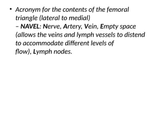 • Acronym for the contents of the femoral
triangle (lateral to medial)
– NAVEL: Nerve, Artery, Vein, Empty space
(allows the veins and lymph vessels to distend
to accommodate different levels of
flow), Lymph nodes.
 