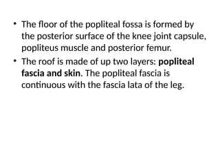 • The floor of the popliteal fossa is formed by
the posterior surface of the knee joint capsule,
popliteus muscle and posterior femur.
• The roof is made of up two layers: popliteal
fascia and skin. The popliteal fascia is
continuous with the fascia lata of the leg.
 