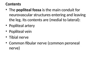 Contents
• The popliteal fossa is the main conduit for
neurovascular structures entering and leaving
the leg. Its contents are (medial to lateral):
• Popliteal artery
• Popliteal vein
• Tibial nerve
• Common fibular nerve (common peroneal
nerve)
 