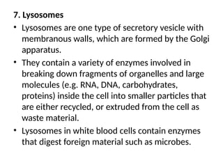 7. Lysosomes
• Lysosomes are one type of secretory vesicle with
membranous walls, which are formed by the Golgi
apparatus.
• They contain a variety of enzymes involved in
breaking down fragments of organelles and large
molecules (e.g. RNA, DNA, carbohydrates,
proteins) inside the cell into smaller particles that
are either recycled, or extruded from the cell as
waste material.
• Lysosomes in white blood cells contain enzymes
that digest foreign material such as microbes.
 