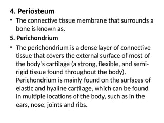 4. Periosteum
• The connective tissue membrane that surrounds a
bone is known as.
5. Perichondrium
• The perichondrium is a dense layer of connective
tissue that covers the external surface of most of
the body’s cartilage (a strong, flexible, and semi-
rigid tissue found throughout the body).
Perichondrium is mainly found on the surfaces of
elastic and hyaline cartilage, which can be found
in multiple locations of the body, such as in the
ears, nose, joints and ribs.
 