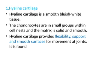 1.Hyaline cartilage
• Hyaline cartilage is a smooth bluish-white
tissue.
• The chondrocytes are in small groups within
cell nests and the matrix is solid and smooth.
• Hyaline cartilage provides flexibility, support
and smooth surfaces for movement at joints.
It is found
 