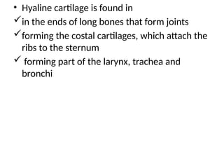 • Hyaline cartilage is found in
in the ends of long bones that form joints
forming the costal cartilages, which attach the
ribs to the sternum
 forming part of the larynx, trachea and
bronchi
 