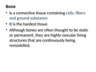 Bone
• Is a connective tissue containing cells, fibers
and ground substance
• It is the hardest tissue
• Although bones are often thought to be static
or permanent, they are highly vascular living
structures that are continuously being
remodelled.
 