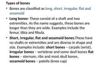 Types of bones
• Bones are classified as long, short, irregular, flat and
sesamoid
• Long bones- These consist of a shaft and two
extremities. As the name suggests, these bones are
longer than they are wide. Examples include the
femur, tibia and fibula.
• Short, irregular, flat and sesamoid bones.These have
no shafts or extremities and are diverse in shape and
size. Examples include: short bones – carpals (wrist),
irregular bones – vertebrae and some skull bones flat
bones – sternum, ribs and most skull bones,
sesamoid bones – patella (knee cap)
 