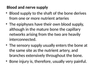 Blood and nerve supply
• Blood supply to the shaft of the bone derives
from one or more nutrient arteries
• The epiphyses have their own blood supply,
although in the mature bone the capillary
networks arising from the two are heavily
interconnected.
• The sensory supply usually enters the bone at
the same site as the nutrient artery, and
branches extensively throughout the bone.
• Bone injury is, therefore, usually very painful.
 