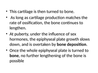 • This cartilage is then turned to bone.
• As long as cartilage production matches the
rate of ossification, the bone continues to
lengthen.
• At puberty, under the influence of sex
hormones, the epiphyseal plate growth slows
down, and is overtaken by bone deposition.
• Once the whole epiphyseal plate is turned to
bone, no further lengthening of the bone is
possible
 