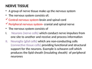 NERVE TISSUE
• A group of nerve tissue make up the nervous system
• The nervous system consists of;
 Central nervous system-brain and spinal cord
 Peripheral nervous system- cranial and spinal nerve
• The nervous system consists of
I. Neurons (nerve cells) which conduct nerve impulses from
one site to another and receive and process information
II. Neuroglia (glial cells) which are non-conducting cells
(connective tissue cells) providing functional and structural
support for the neurons. Example is schwann cell which
produces the lipid sheath (insulating sheath) of peripheral
neurones
 