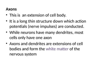 Axons
• This is an extension of cell body.
• It is a long thin structure down which action
potentials (nerve impulses) are conducted.
• While neurons have many dendrites, most
cells only have one axon
• Axons and dendrites are extensions of cell
bodies and form the white matter of the
nervous system
 