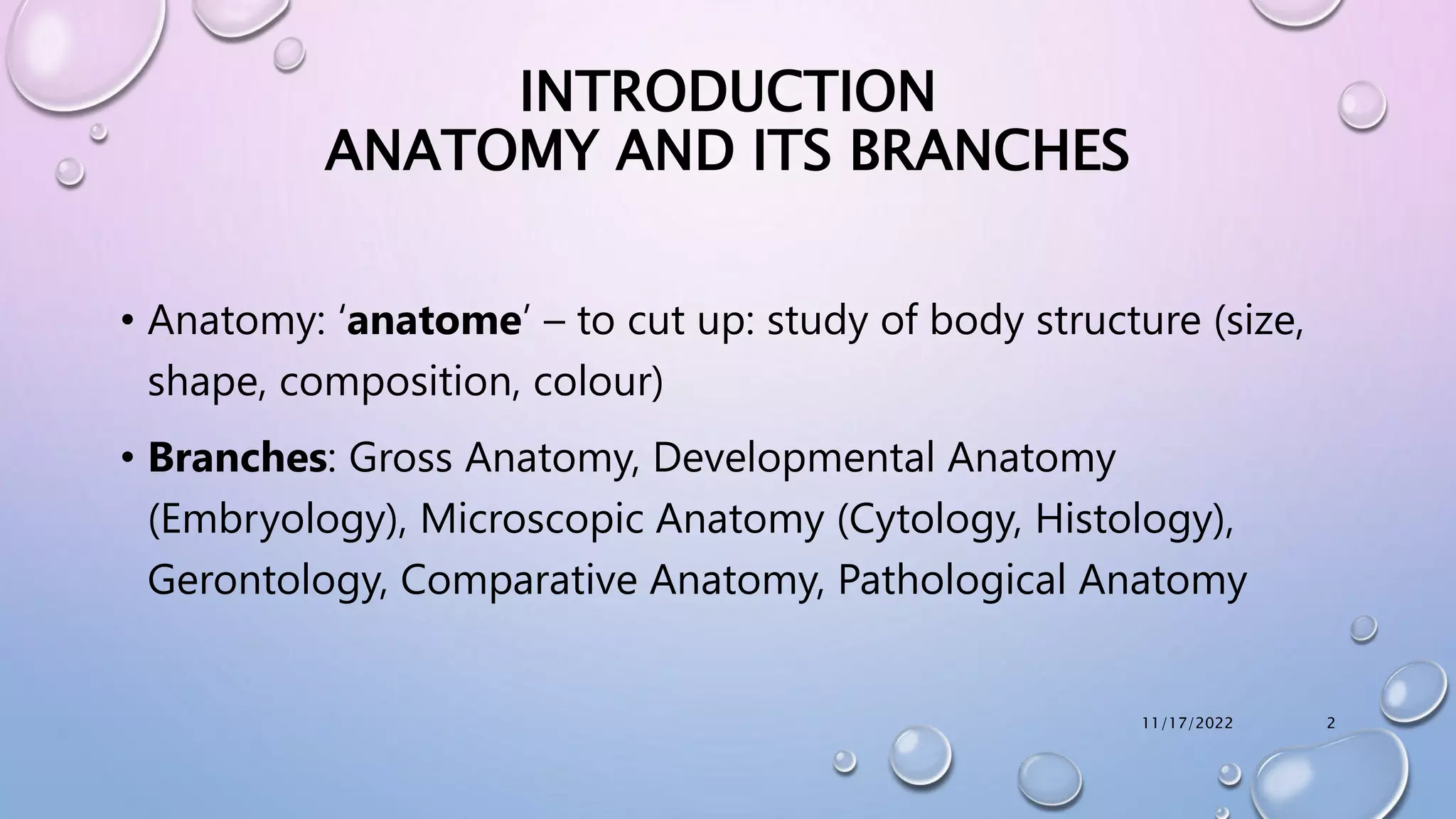 ANATOMY 1.pptx